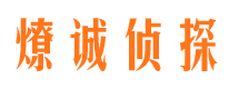 桃山市侦探公司